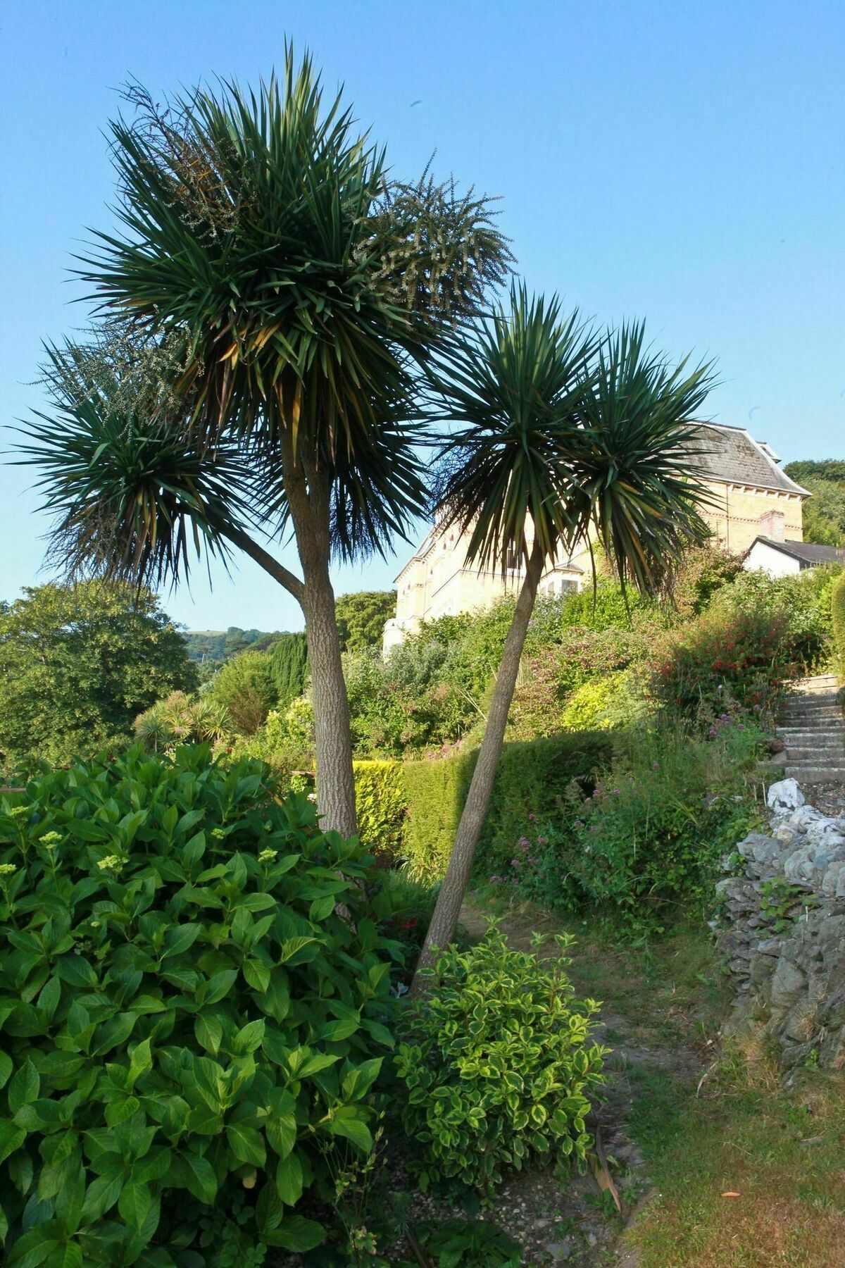 Hotel Epchris House à Ilfracombe Extérieur photo