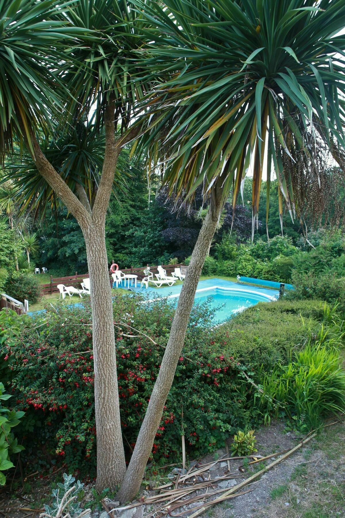 Hotel Epchris House à Ilfracombe Extérieur photo
